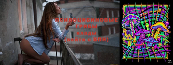 PSILOCYBIN Беломорск